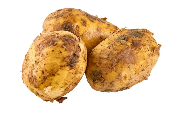 Verse witte aardappelen geïsoleerd op witte achtergrond. Achtergrond van biologisch voedsel. — Stockfoto