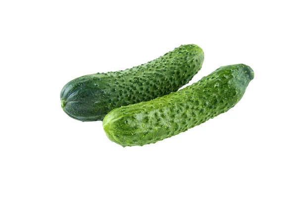 Fresh cucumbers isolated on white background. Background of organic food. — Stock Photo, Image