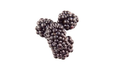 Beyaz arka planda böğürtlen meyveleri