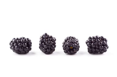 Beyaz arka planda böğürtlen meyveleri