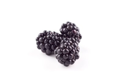 Beyaz arka planda böğürtlen meyveleri