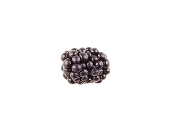 흰색 배경에 블랙 베리 열매 — 스톡 사진