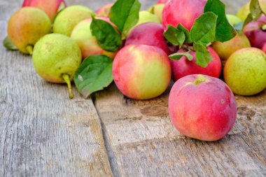 Elmalar ve armutlar ahşap bir masada.