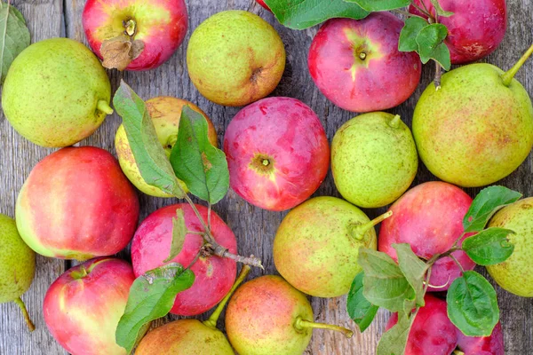 木桌上的苹果和梨 — 图库照片