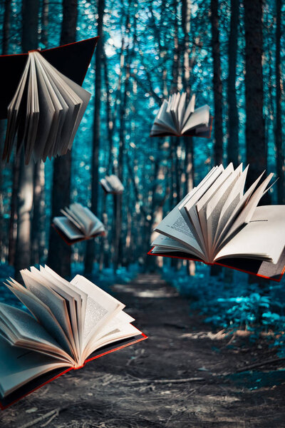Books in red bindings fly over a path in a mystical forest with blue leaves