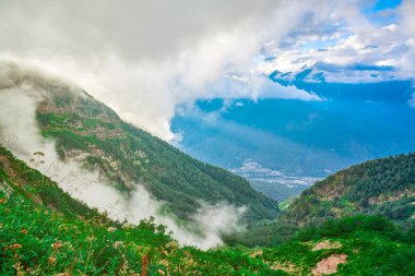 Alçak bulutların arasından yükselen yüksek irtifa manzarası, ağaçlarla kaplı bir dağın yamacından süzülen sis ve aşağıdaki vadi manzarası. Dağ yürüyüşü.