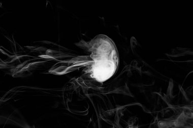 Siyah arkaplanda beyaz duman bulutları, siyah arkaplanda duman hareketleri, denizanası şeklinde duman bulutları, dumanlı arka plan, soyut duman.