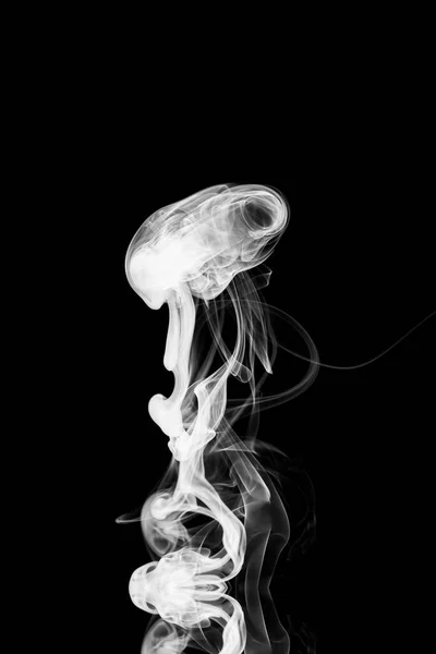 黒い背景に白い煙の雲 黒い背景に煙の動き クラゲの形をした煙の雲 煙の背景 抽象的な煙 — ストック写真