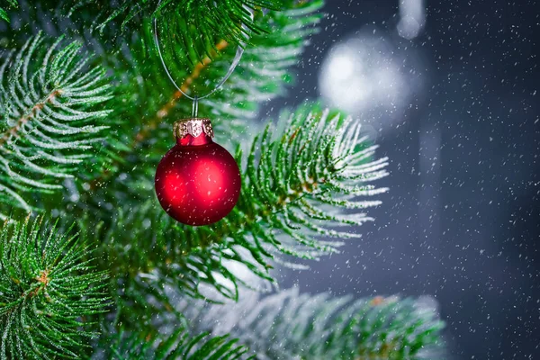 Weihnachtlicher Hintergrund Mit Einem Fichtenzweig Einer Roten Kugel Auf Einem — Stockfoto