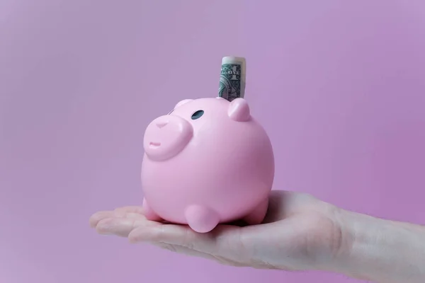 Piggy bank save money dollar pink background
