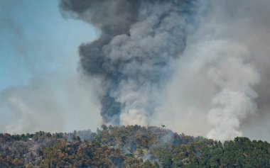 Helikopter orman yangınını söndürüyor. Helikopterin arkasında büyük bir duman bulutu yükseliyor.