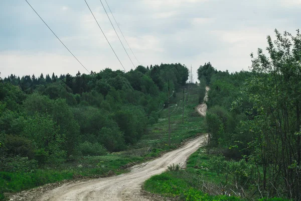 Tarla yolu ormandır.