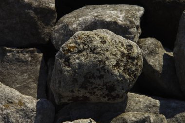 kurutulmuş yosun ile kaplı birkaç taş