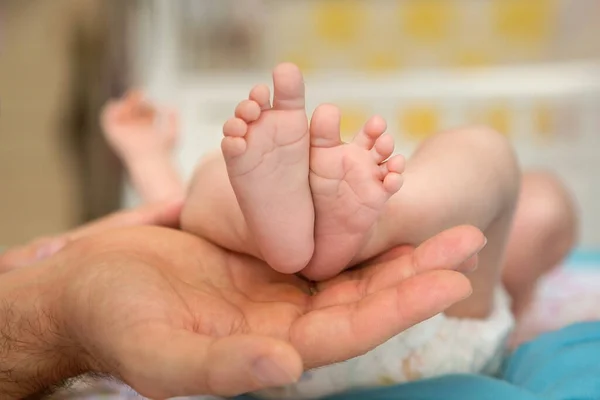 Pés de bebé nas mãos dos pais. O pai e o filho dela. Pés de recém-nascido. Conceito de paternidade . — Fotografia de Stock