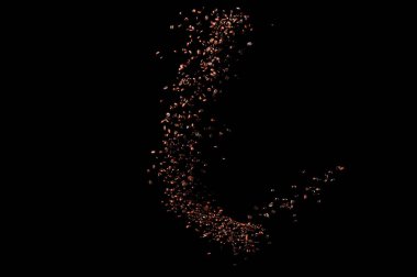 Siyah arka planda izole kahve çekirdekleri uçuşuyor. Kavrulmuş kahve taneleri patladı..