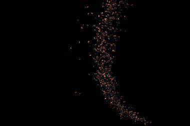 Siyah arka planda izole kahve çekirdekleri uçuşuyor. Kavrulmuş kahve taneleri patladı..