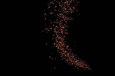 Siyah arka planda izole kahve çekirdekleri uçuşuyor. Kavrulmuş kahve taneleri patladı..