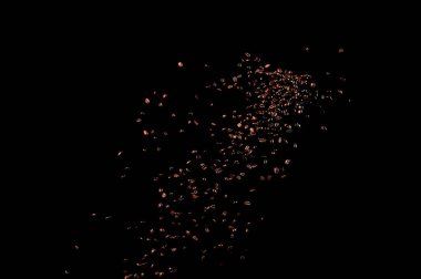 Siyah arka planda izole kahve çekirdekleri uçuşuyor. Kavrulmuş kahve taneleri patladı..