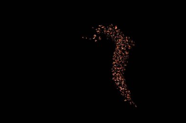 Siyah arka planda izole kahve çekirdekleri uçuşuyor. Kavrulmuş kahve taneleri patladı..