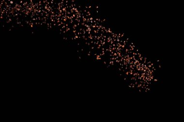 Siyah arka planda izole kahve çekirdekleri uçuşuyor. Kavrulmuş kahve taneleri patladı..