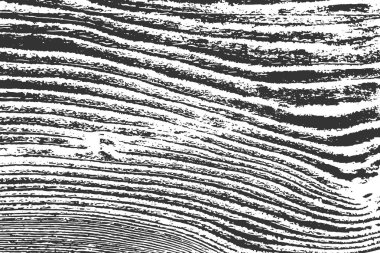 Beyaz arka plan üzerinde izole siyah grenli doku. Soyut dokulu şeritler sökük. Grunge tasarım öğeleri. Vektör çizim, eps 10.