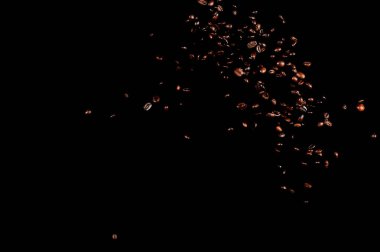 Siyah arka planda izole kahve çekirdekleri uçuşuyor. Kavrulmuş kahve taneleri patladı..