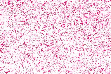 Arka plan mutlu sevgililer günü. Beyaz izole konfeti kırmızı patlama. Pembe Glitter. Doku yerleşimi. Dijital olarak oluşturulan görüntü. Vektör çizim, Eps 10.