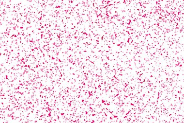 Arka plan mutlu sevgililer günü. Beyaz izole konfeti kırmızı patlama. Pembe Glitter. Doku yerleşimi. Dijital olarak oluşturulan görüntü. Vektör çizim, Eps 10.