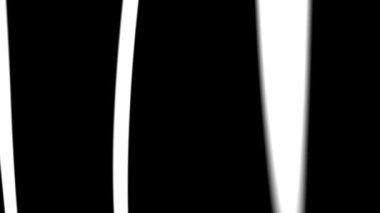 Siyah Beyaz Gerçekçi Titreme. Vintage Film Doku Efektleri. Soyut Dijital Animasyon. 