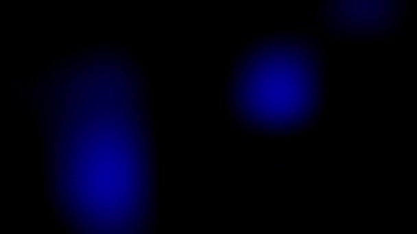 Blauw Licht Lekt Zwarte Achtergrond Heldere Lens Fakkels Chaotische Beweging — Stockvideo