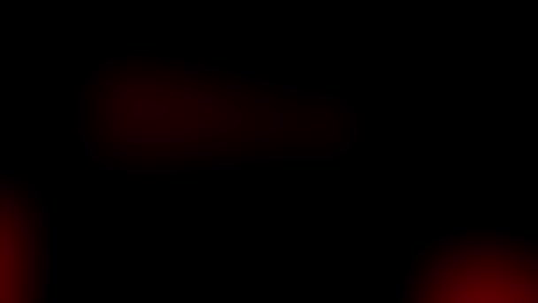Rood Licht Lekt Zwarte Achtergrond Heldere Lens Fakkels Chaotische Beweging — Stockvideo