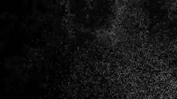 White Noise Motion Black Background Blikající Prach Chyba Chyba Poškození — Stock video