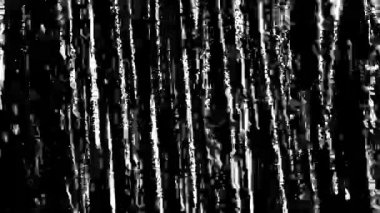 Siyah Arkaplanda Beyaz Gürültü Hareketi. Titrek Toz. Klasik Film Doku Efektleri. Eşsiz Tasarım Soyut Dijital Canlandırma. 