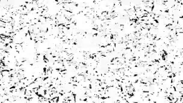 白い背景に黒いノイズモーション ちらつきダスト ヴィンテージフィルムテクスチャ効果 ループユニークなデザイン抽象デジタルアニメーション — ストック動画