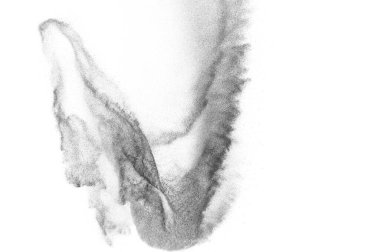 Siyah parçacıklar beyaz zemin üzerinde izole edildi. Soyut toz tabakası dokusu.