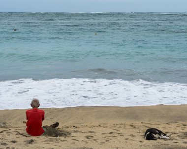 Yaşlı bir adam kumsalda oturup denize bakarken yanında da büyükbabasının oturduğu yerden çok da uzak olmayan siyah beyaz bir köpek vardı.