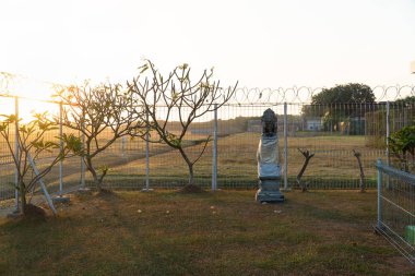 Dikenli korkuluklarla çevrili bir yerde sabah gün doğumu. Geniş bir otlak ta Hindular için bir ibadet yeri var.