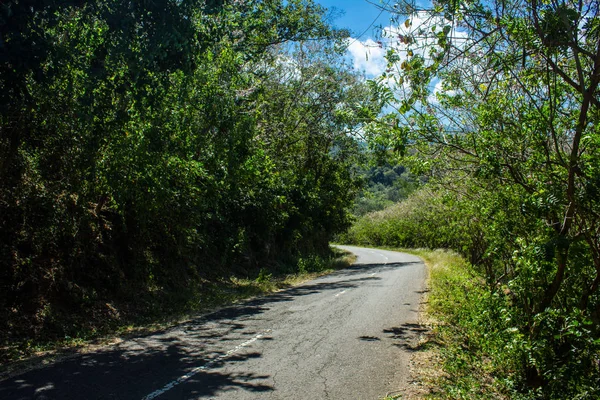 Uma estrada vazia num dia ensolarado sem ninguém. Apenas árvore, arbusto e nuvens — Fotografia de Stock