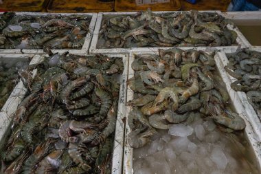 Beyaz buz strafor taze çiğ karides