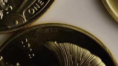 Titan Bitcoins dijital cryptocurrency dönen çekim