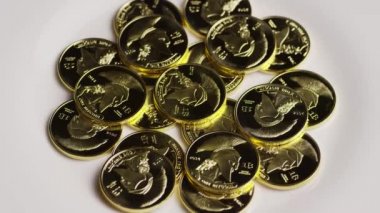 Titan Bitcoins dijital cryptocurrency dönen çekim