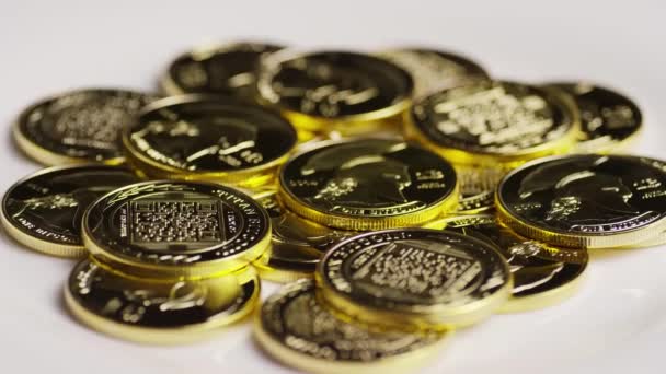Περιστρεφόμενο πλάνο του Τιτάνα Bitcoin με ψηφιακά κρυπτονομίσματα — Αρχείο Βίντεο