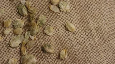 Arpa ve diğer bira pişirme maddeleri dönen çekim