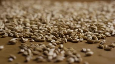 Arpa ve diğer bira pişirme maddeleri dönen çekim