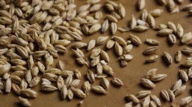 Arpa ve diğer bira pişirme maddeleri dönen çekim