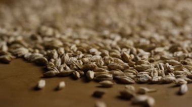 Arpa ve diğer bira pişirme maddeleri dönen çekim