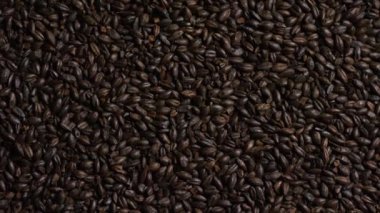 Arpa ve diğer bira pişirme maddeleri dönen çekim
