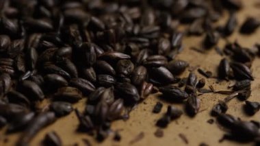 Arpa ve diğer bira pişirme maddeleri dönen çekim