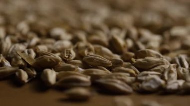 Arpa ve diğer bira pişirme maddeleri dönen çekim