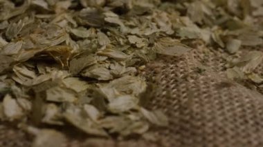 Arpa ve diğer bira pişirme maddeleri dönen çekim